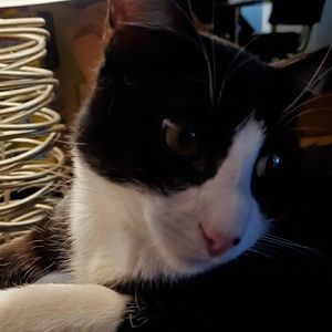 Meet your Posher, Timothy